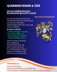 Haupt- oder nebenberufliche Immobilienberater/ in m/ w/ d bundesweit gesucht